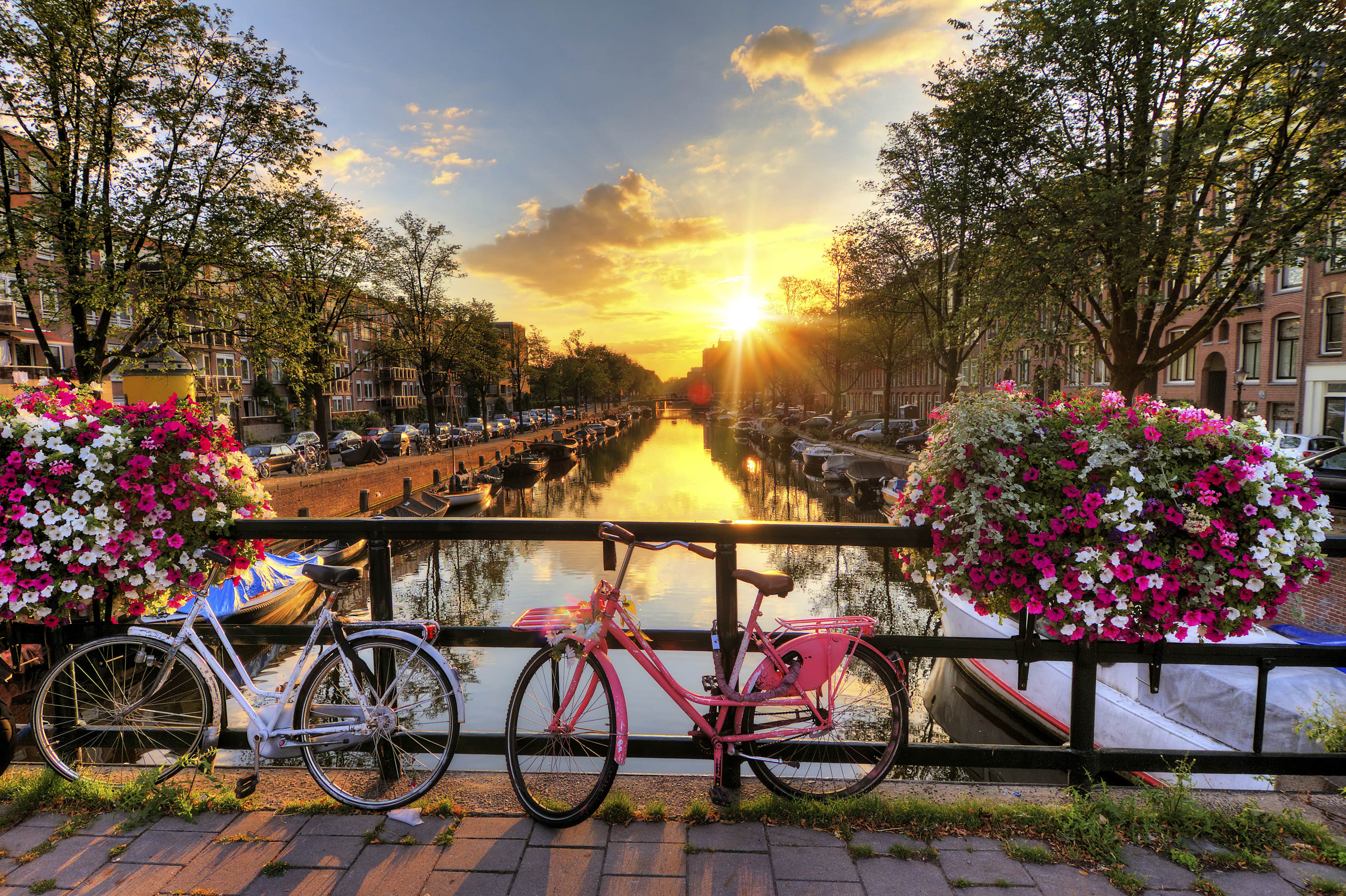 amsterdam_canals-and-flowers-min