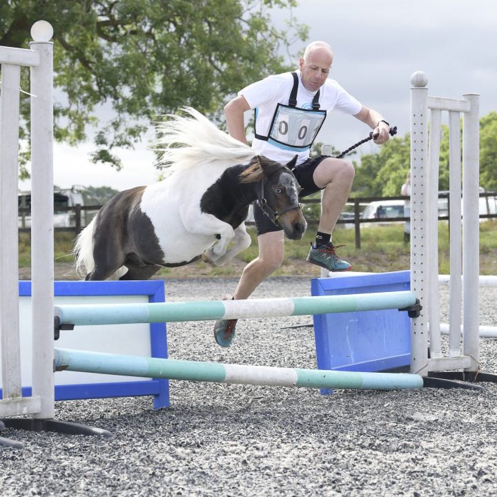 Harvey the horse steals the show raising funds for St Oswald's Hospice. St Oswald’s Hospice