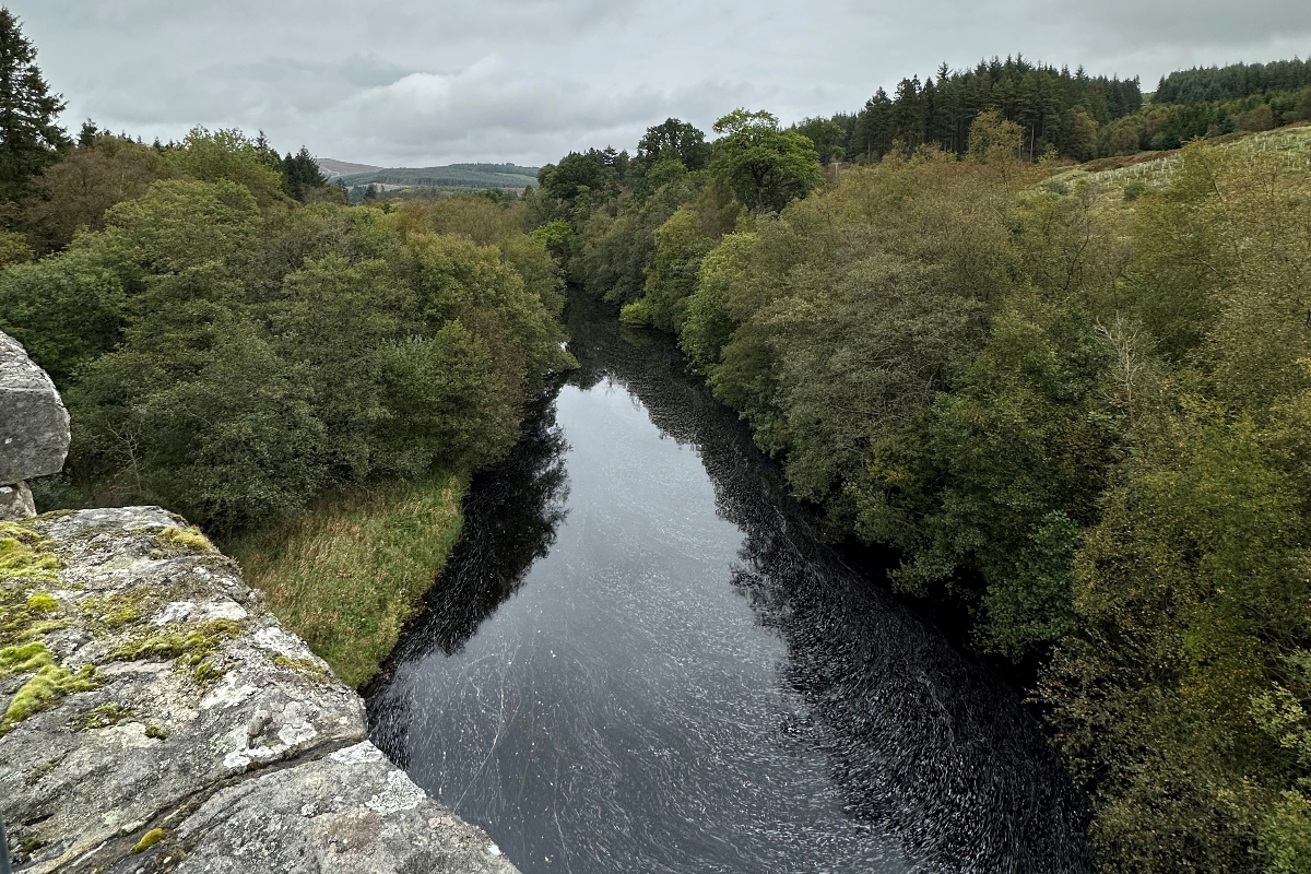 Kielder 1