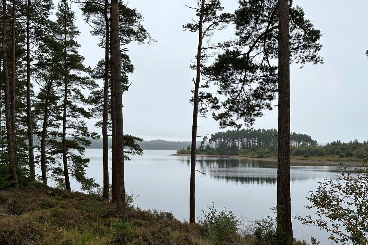 Kielder 2