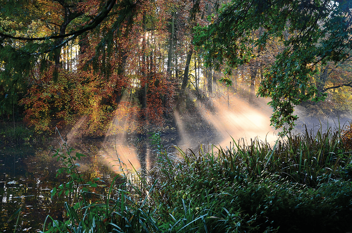 Photography Calendar Competition St Oswald’s Hospice