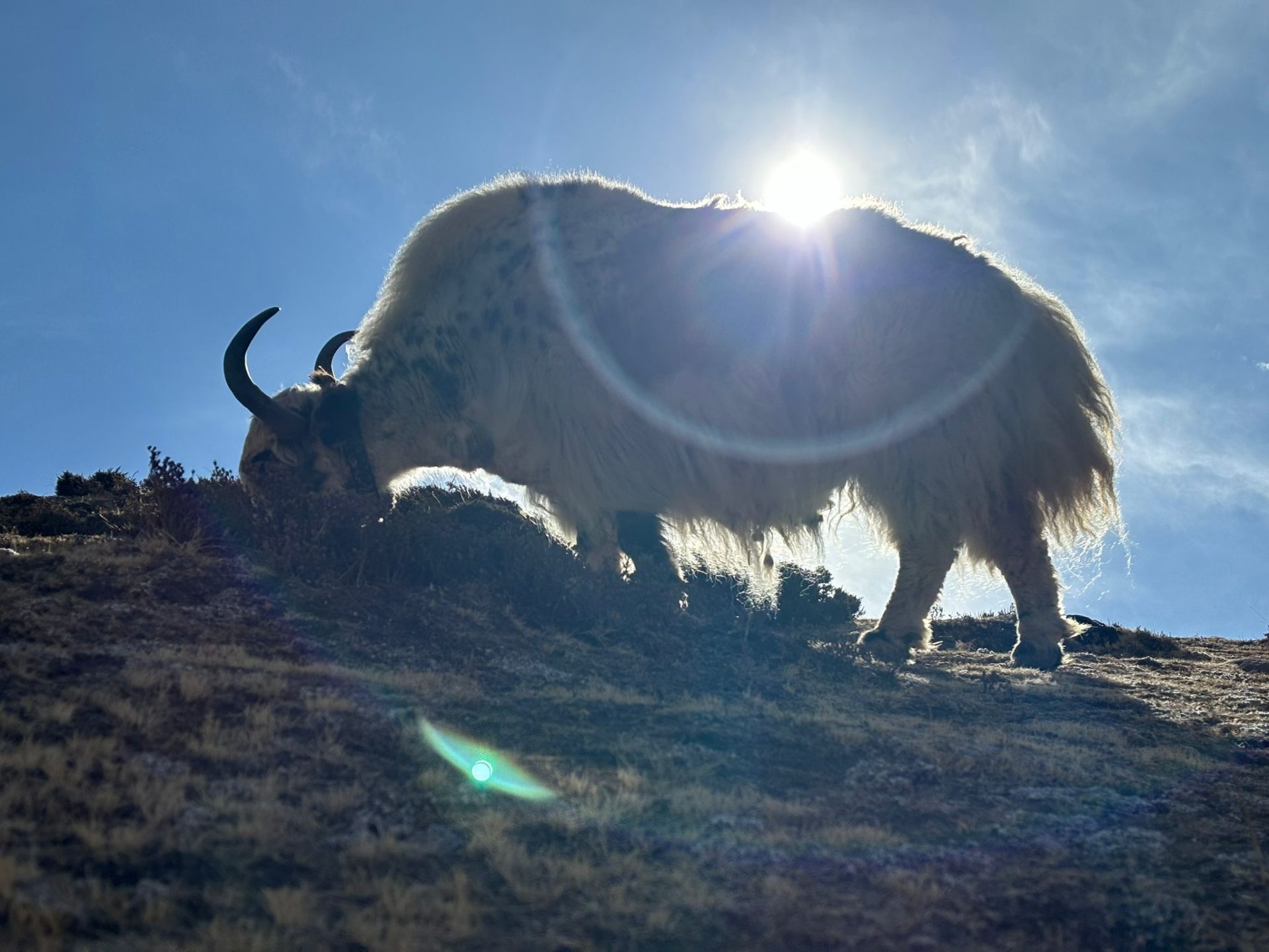 Alistair - Mount Everest Trek (9)