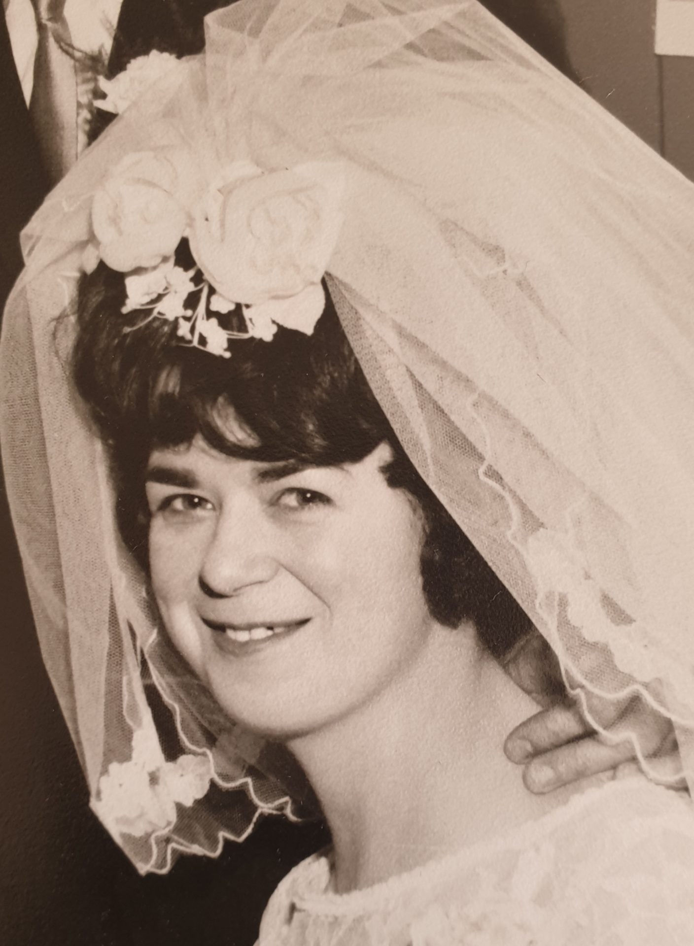 Eileen Plant