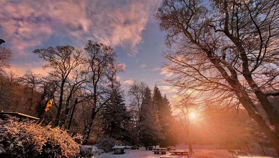 Jesmond Dene, Newcastle Upon Tyne © Andrew Smiles