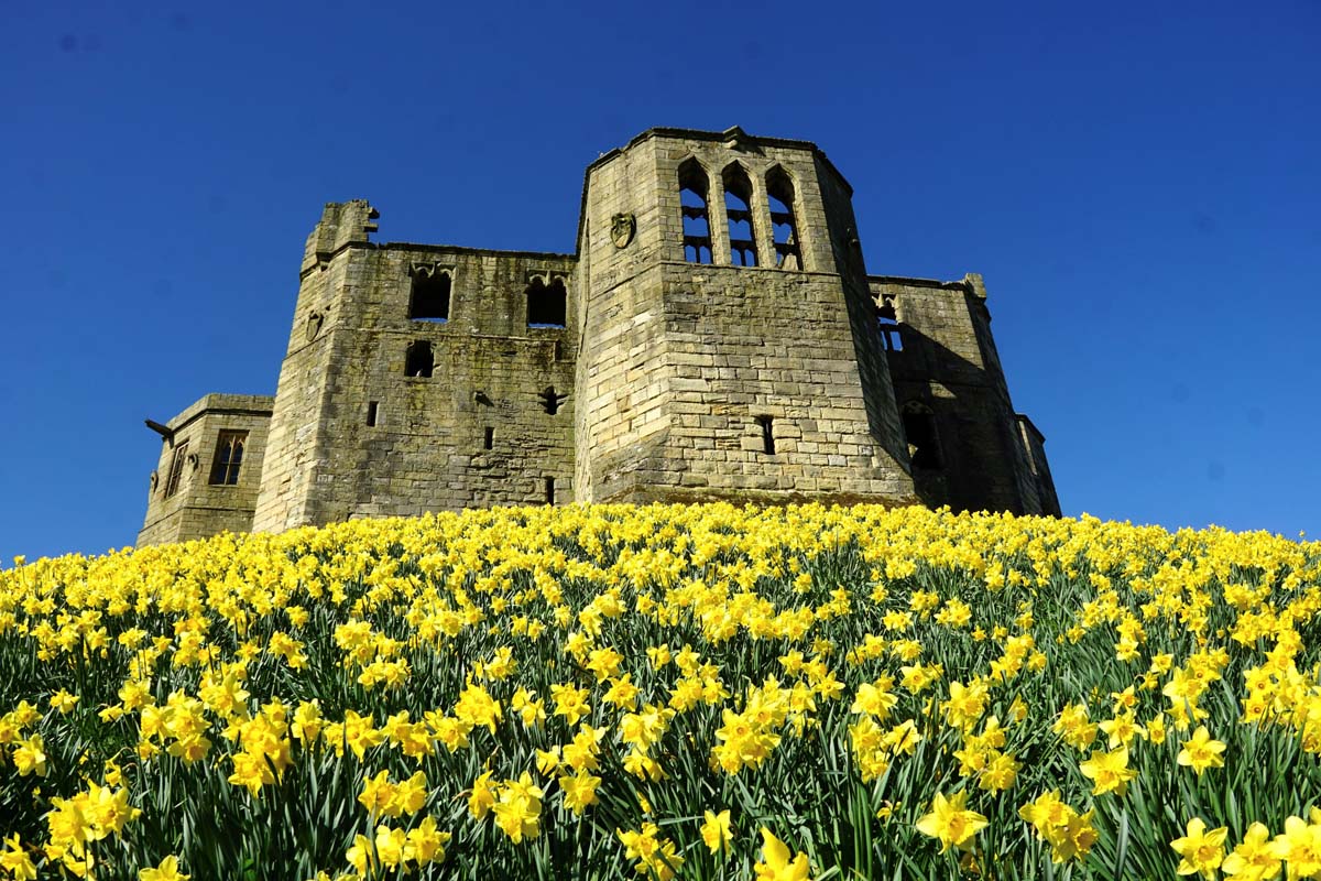 Warkworth Castle, Morpeth © Ian Willey