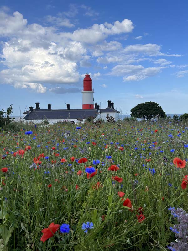 Souter Lighthouse and The Leas, Whitburn © Henry Pearce