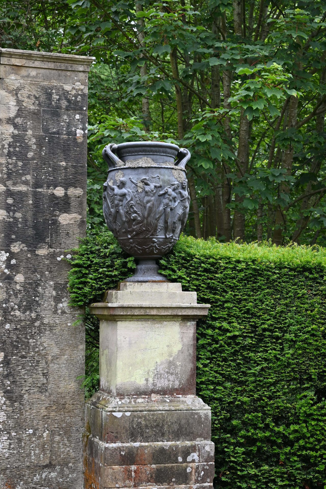 DSC_6231