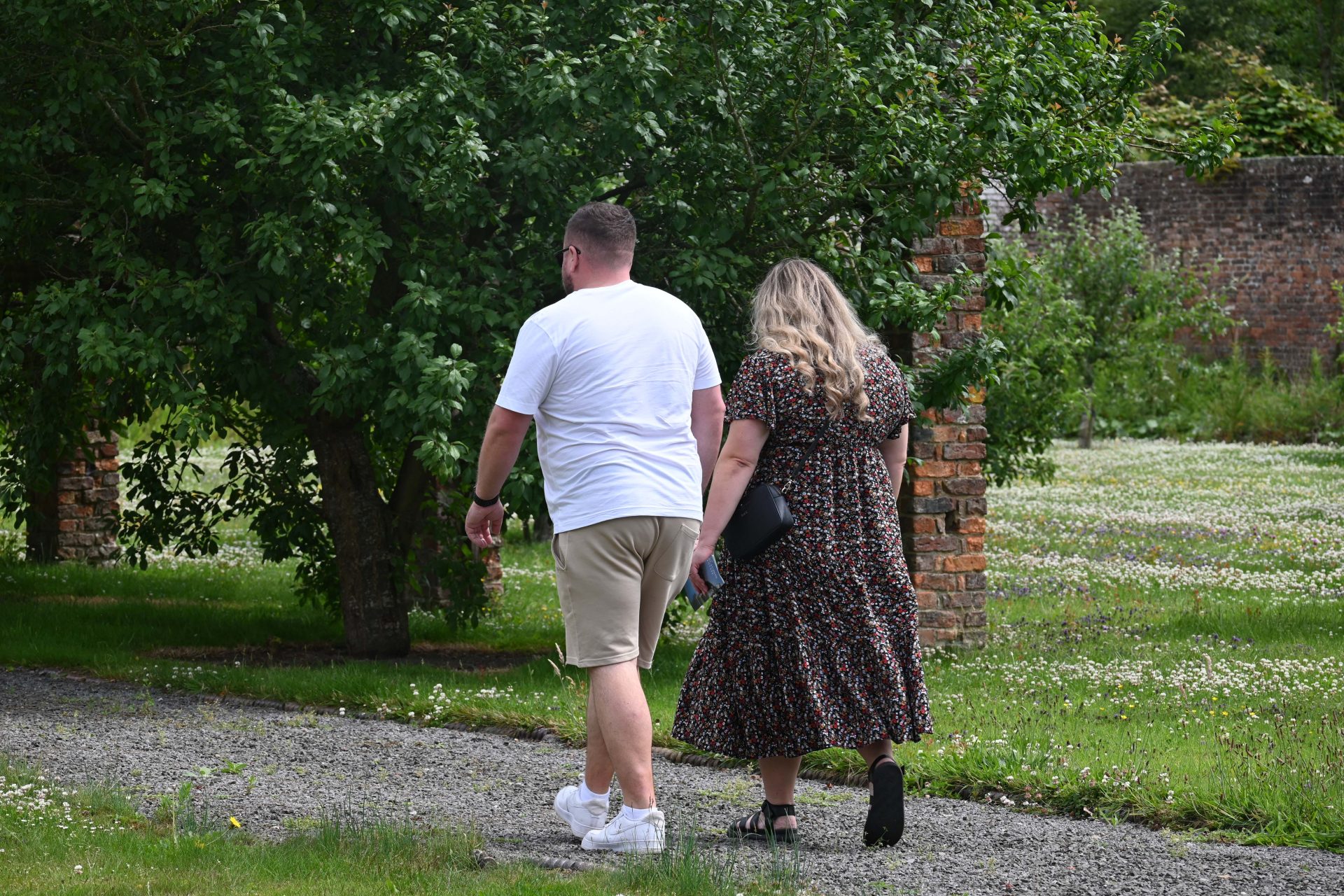 DSC_6255