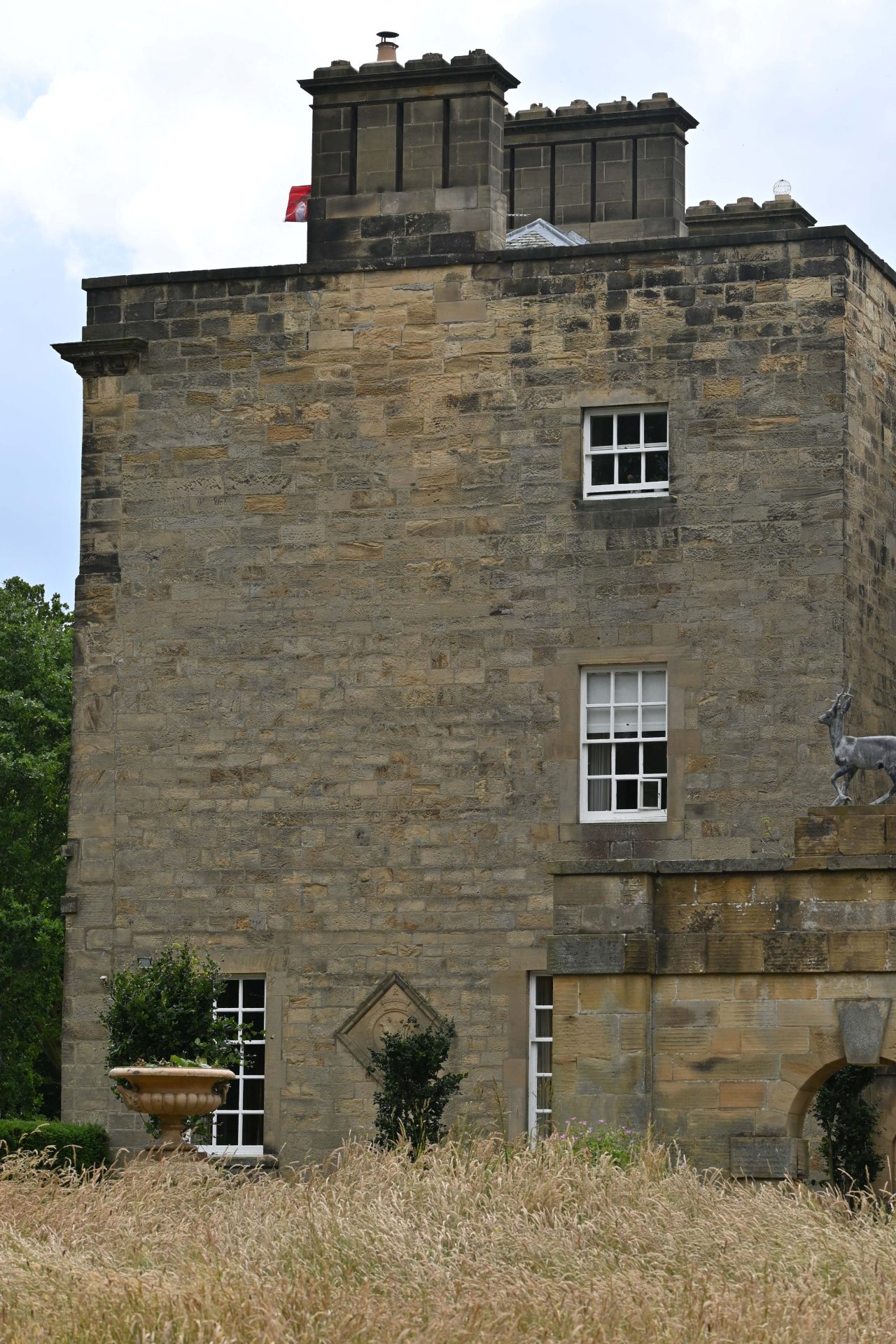 DSC_6313