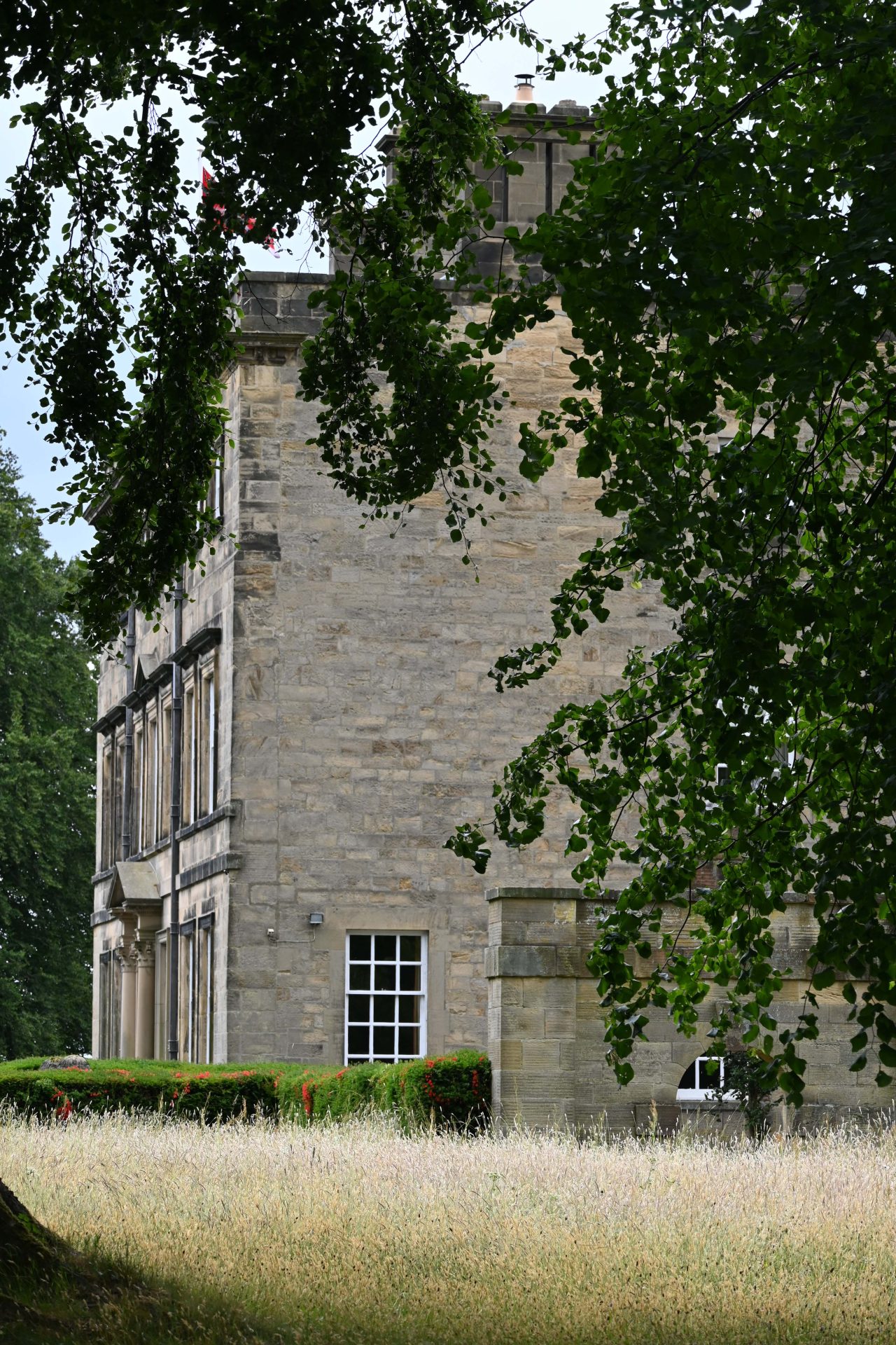 DSC_6321