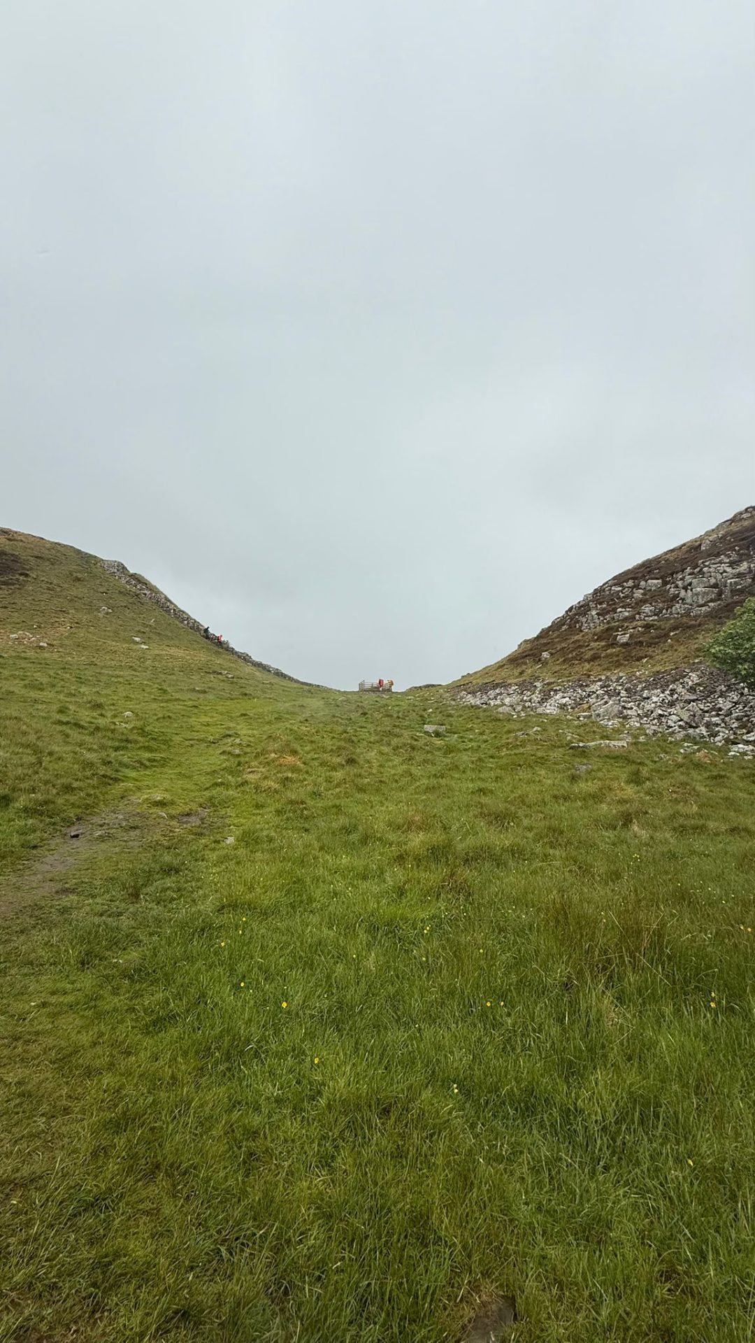 IMG-20250607-WA0060