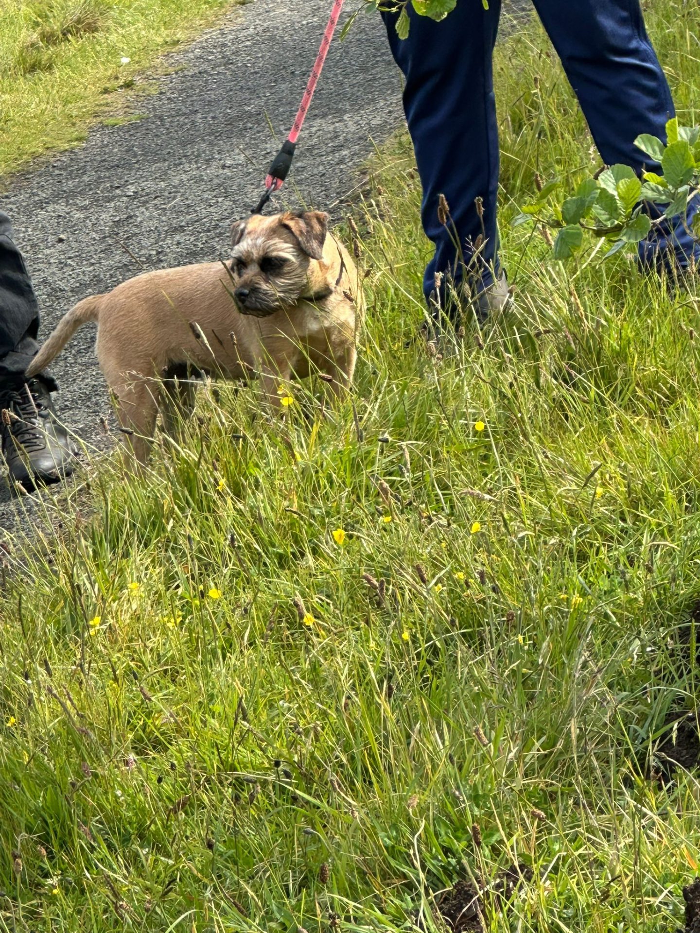 IMG-20250607-WA0080