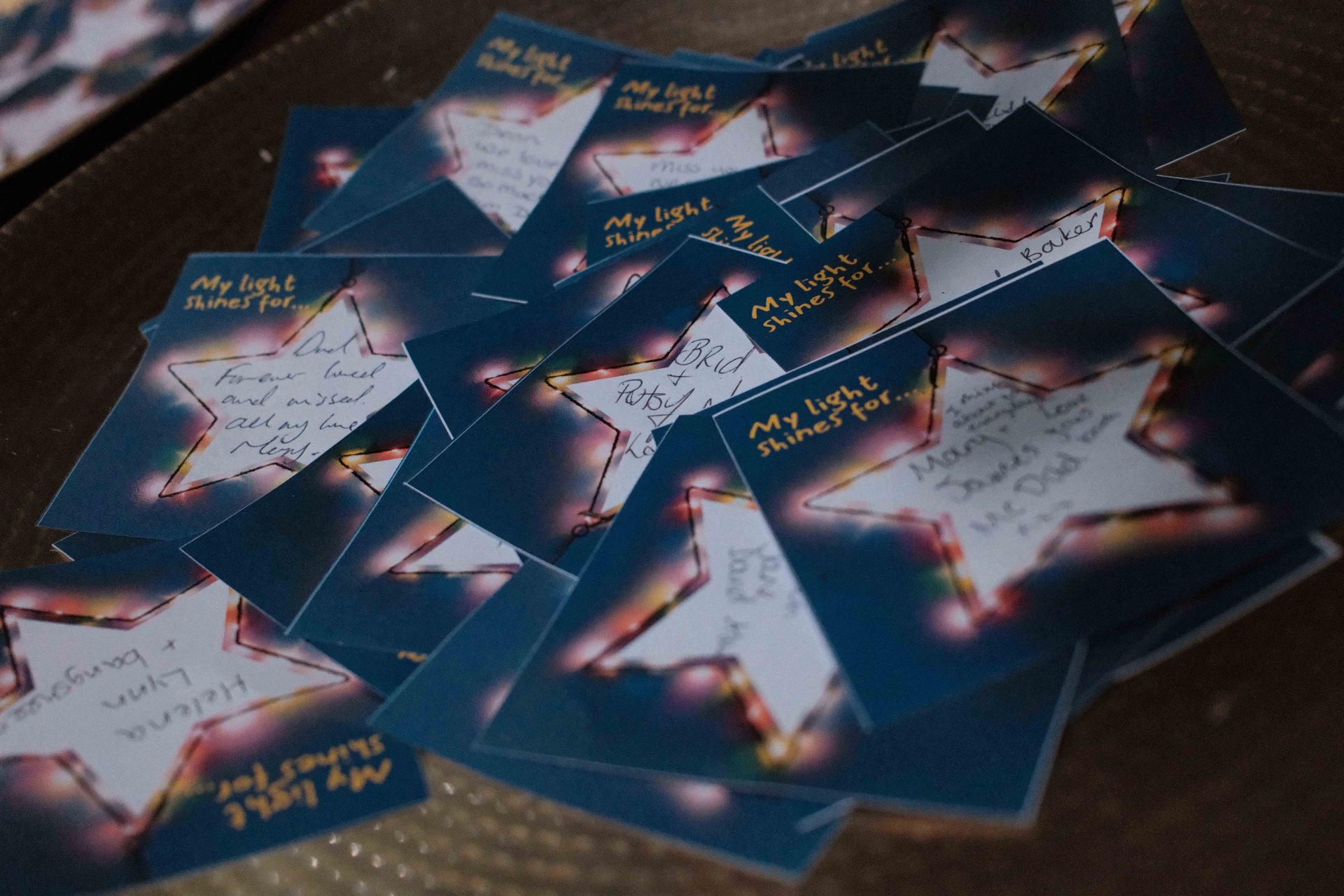 Light up a Life 2025 (3)