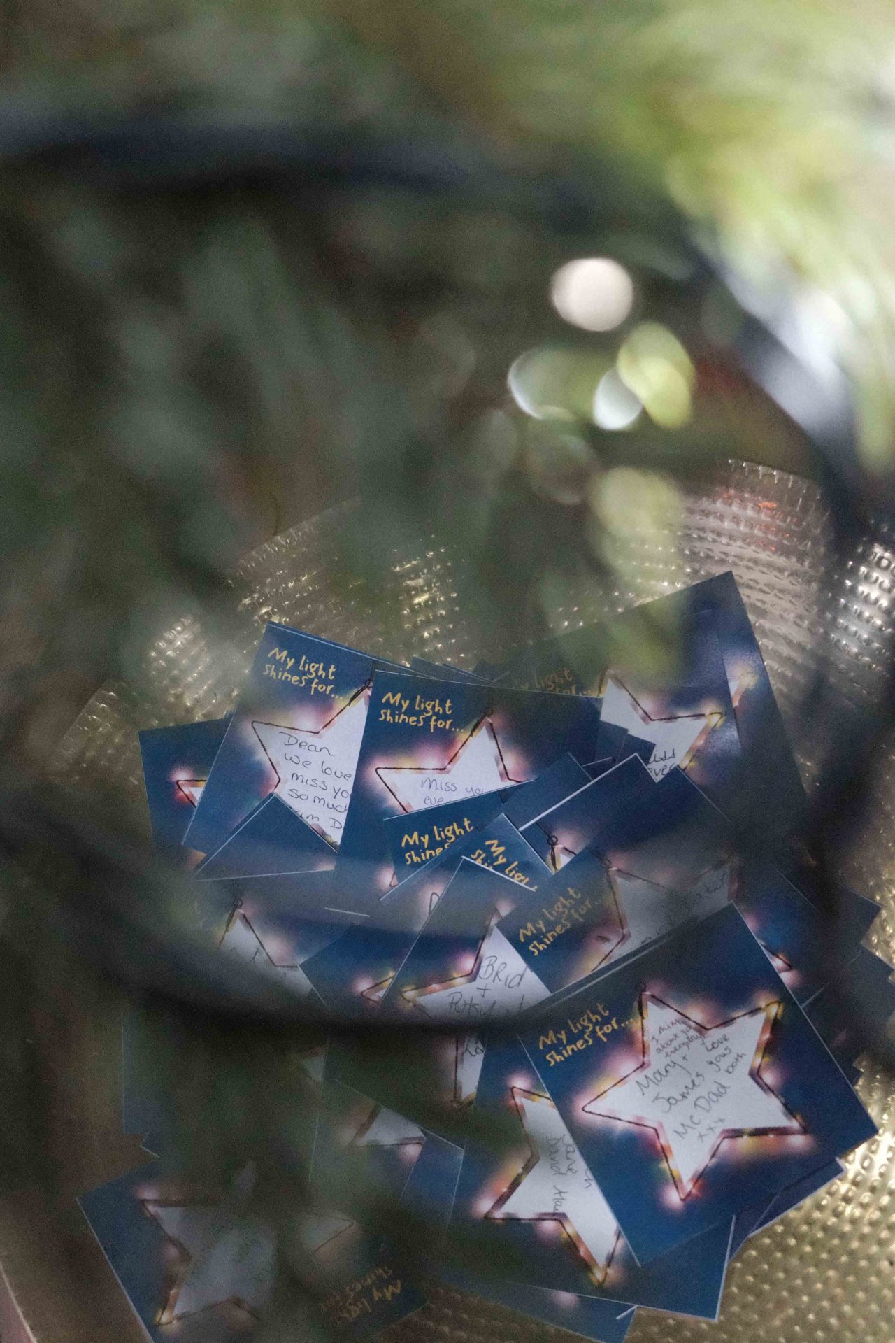 Light up a Life 2025 (4)