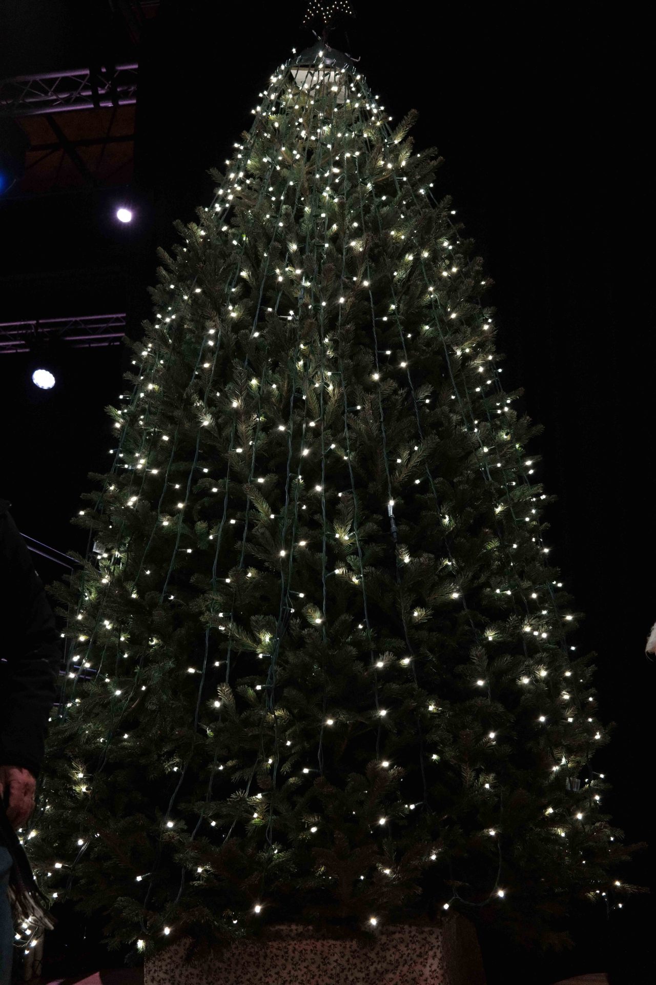 Light up a Life 2025 (7)