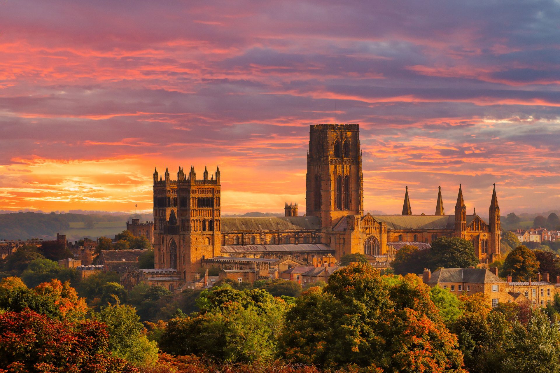 October © David Dodds