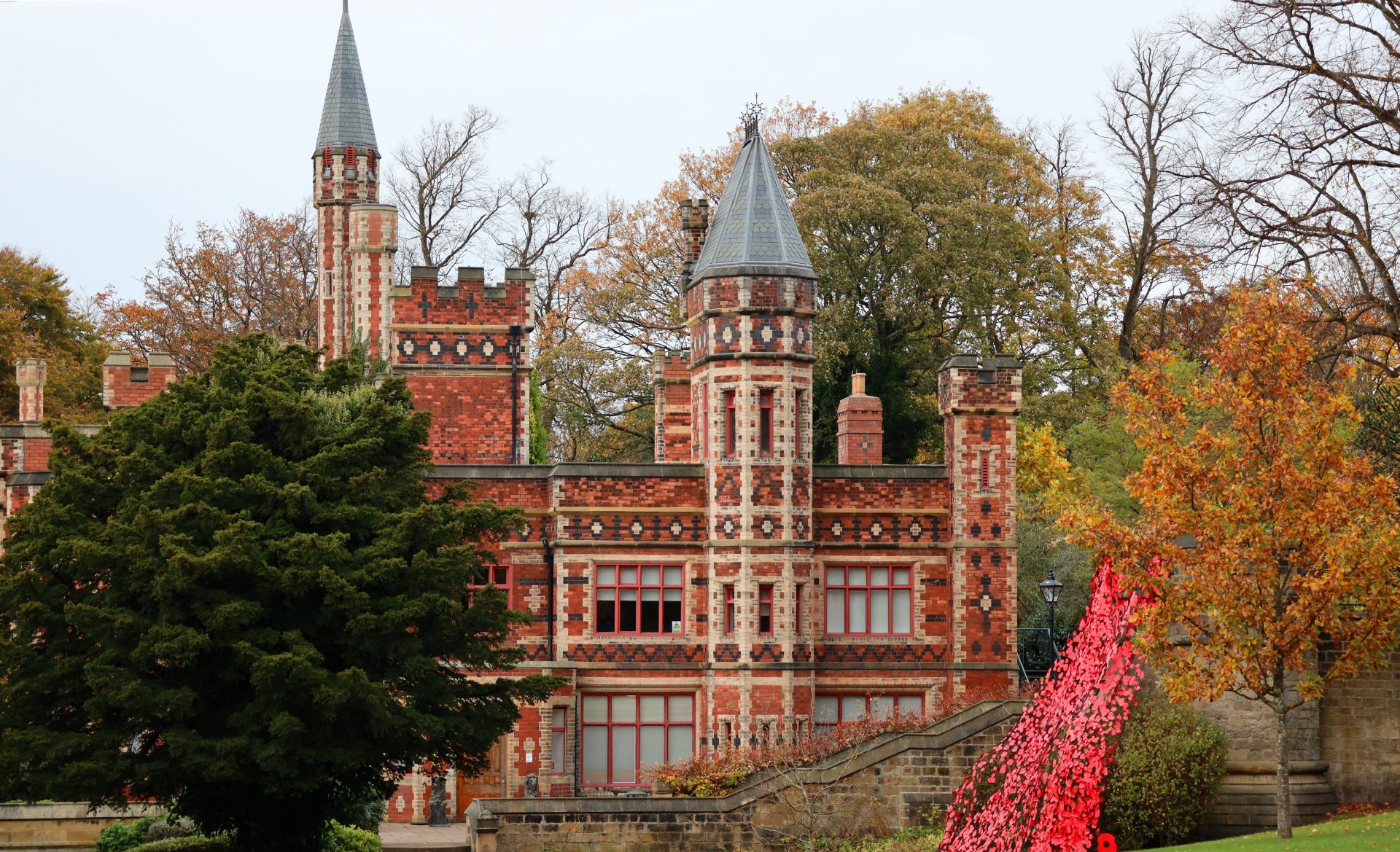 November © Victoria Najafi