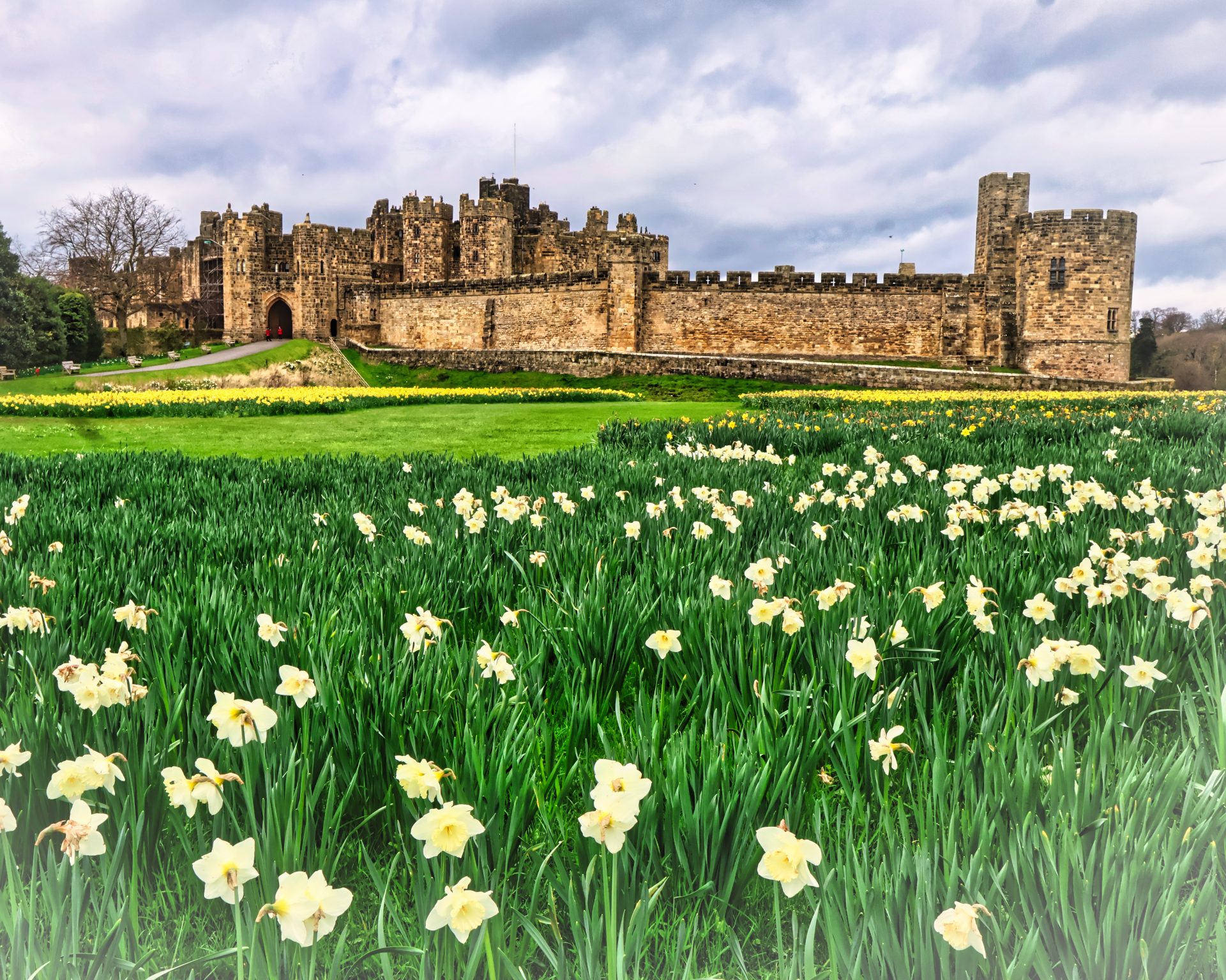 April © David Dodds