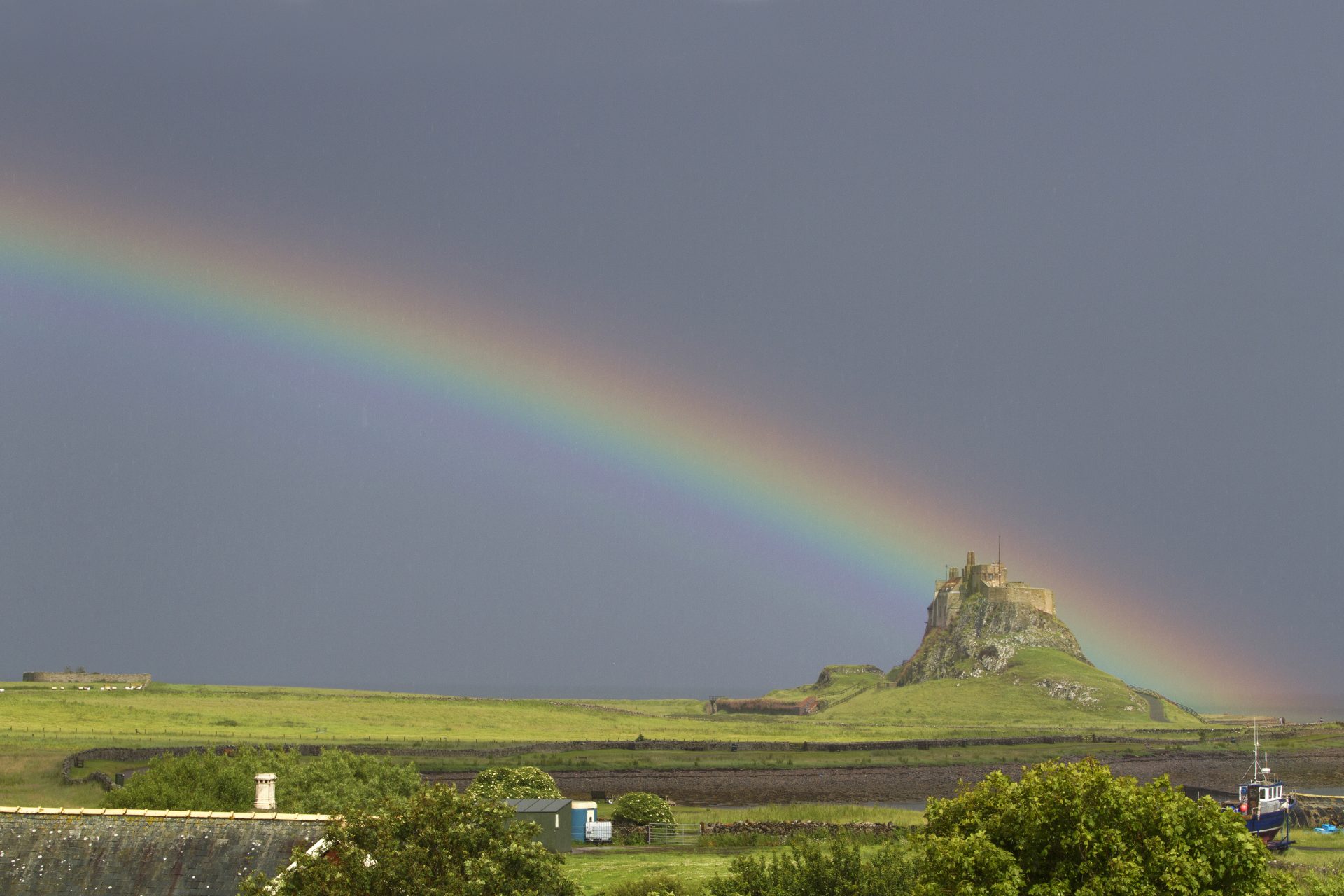 January © Carl Petrie