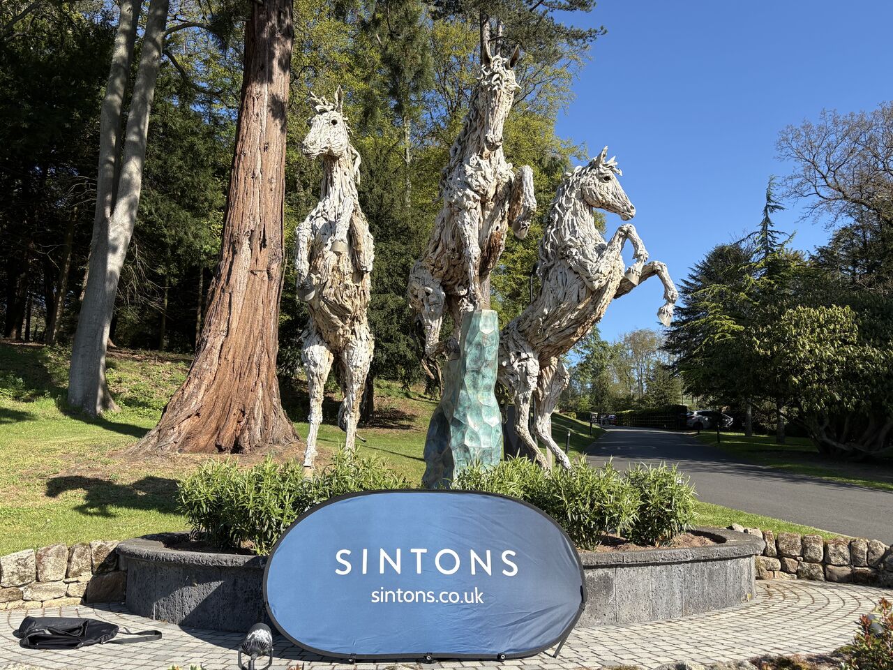 Sintons