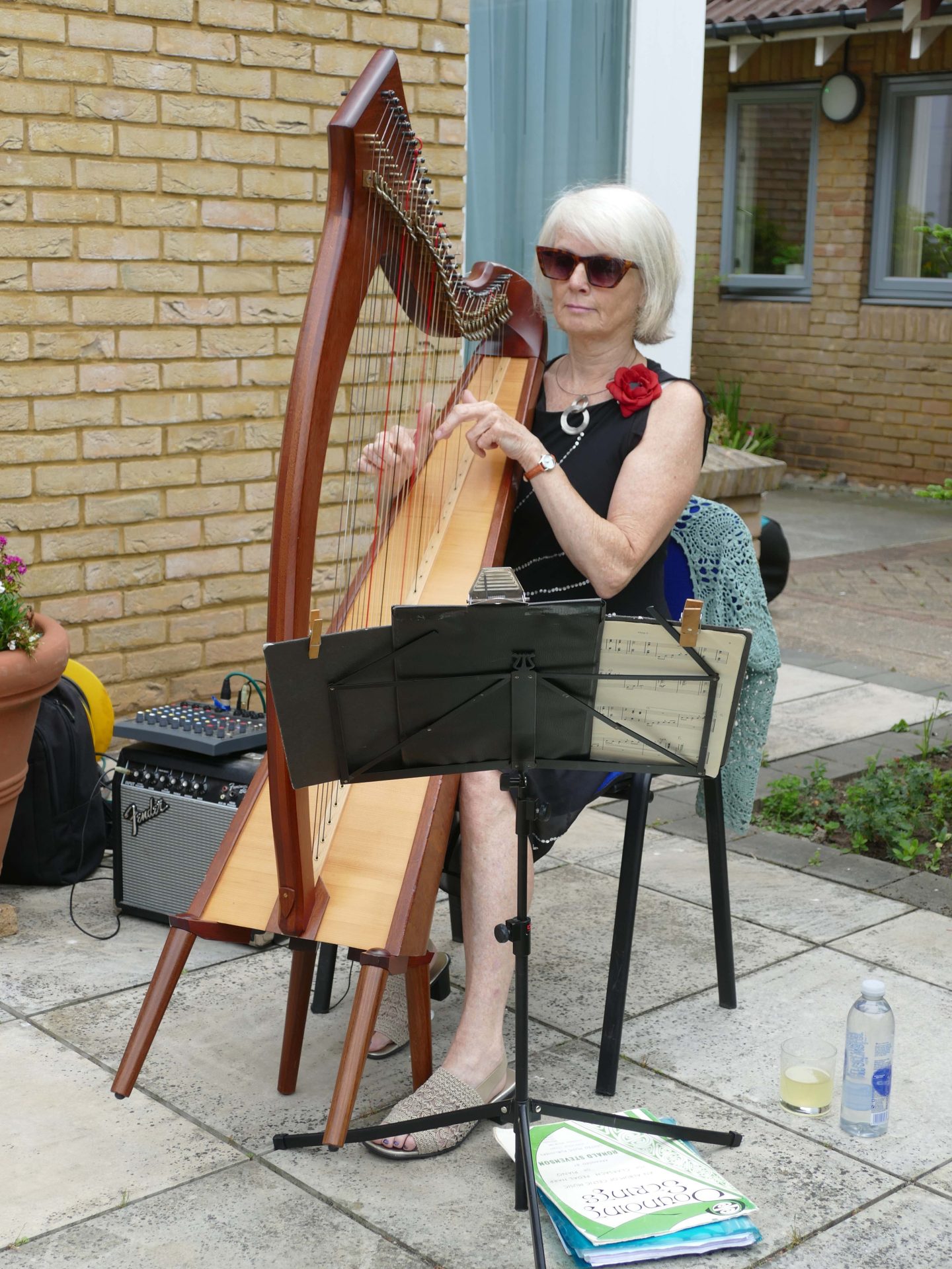 Ruby Garden Party Photos (16)